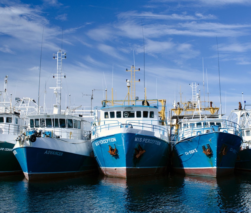 Valuations for Fisheries & Fishing